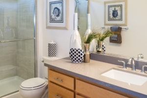 Stonecrest Estates Bathroom 2